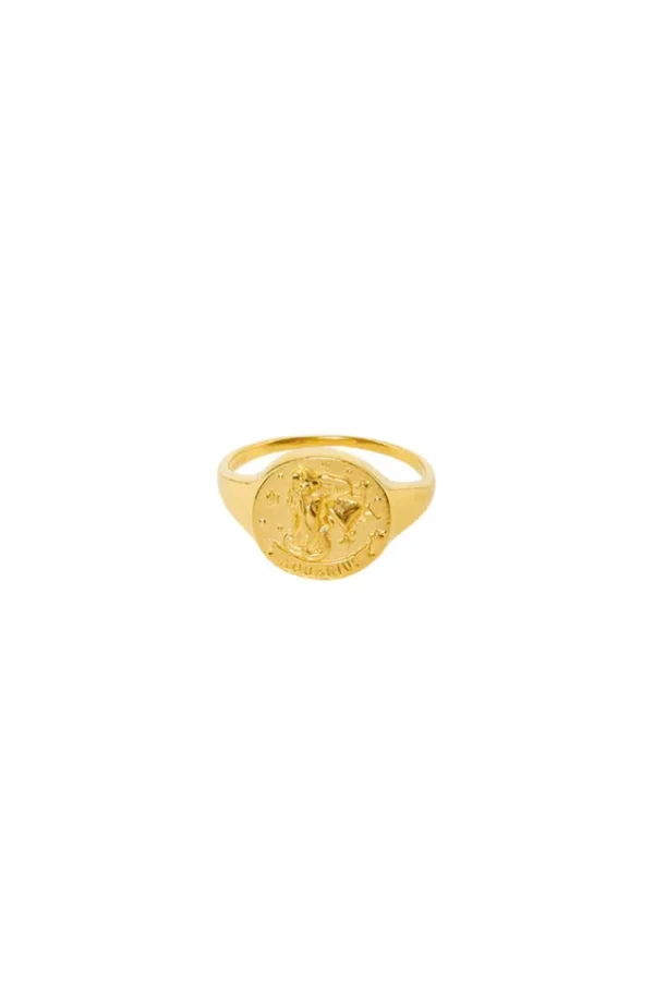 Gold Aquarius Stargazer Zodiac Ring New