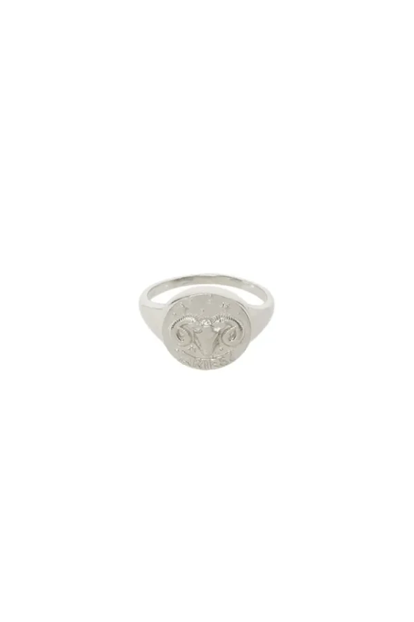 Sterling Silver Aries Stargazer Zodiac Ring Best Sale