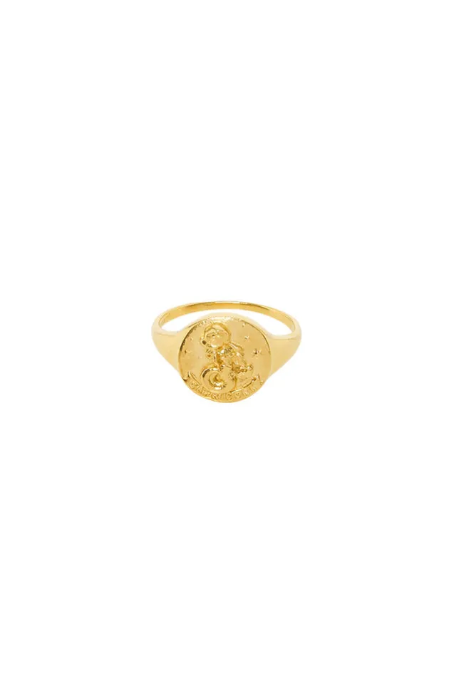 capricorn_stargazer_zodia_1-2.webp Gold Capricorn Stargazer Zodiac Ring Fashion
