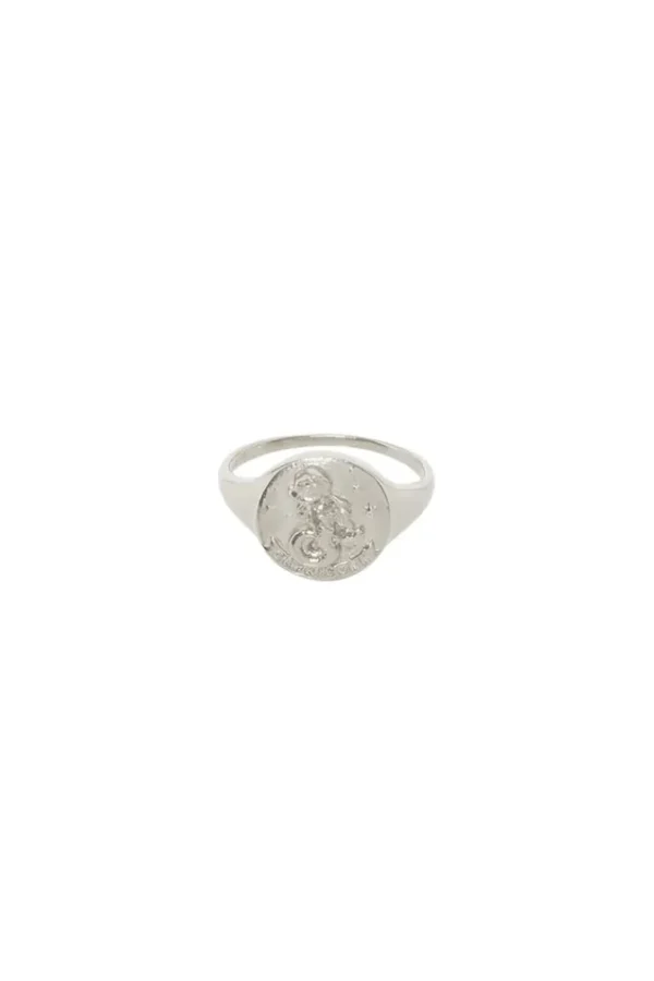 Sterling Silver Capricorn Stargazer Zodiac Ring Best