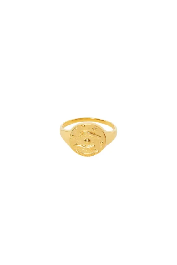 Gold Gemini Stargazer Zodiac Ring New