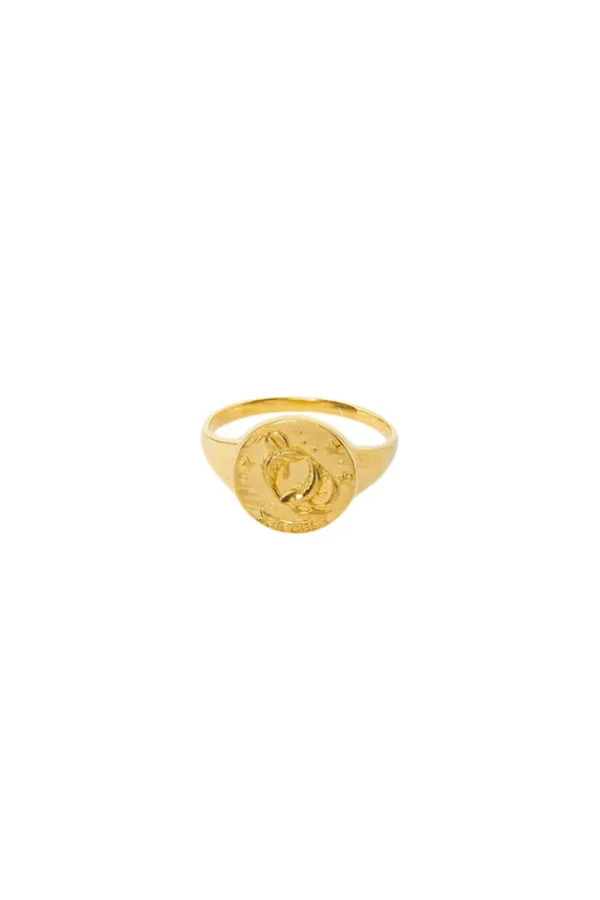 Gold Pisces Stargazer Zodiac Ring Cheap