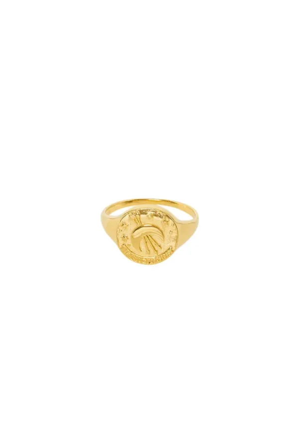 Gold Sagittarius Stargazer Zodiac Ring Best